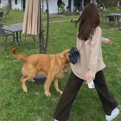 惊情48小时