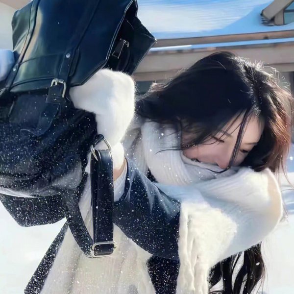 凤舞龙翔